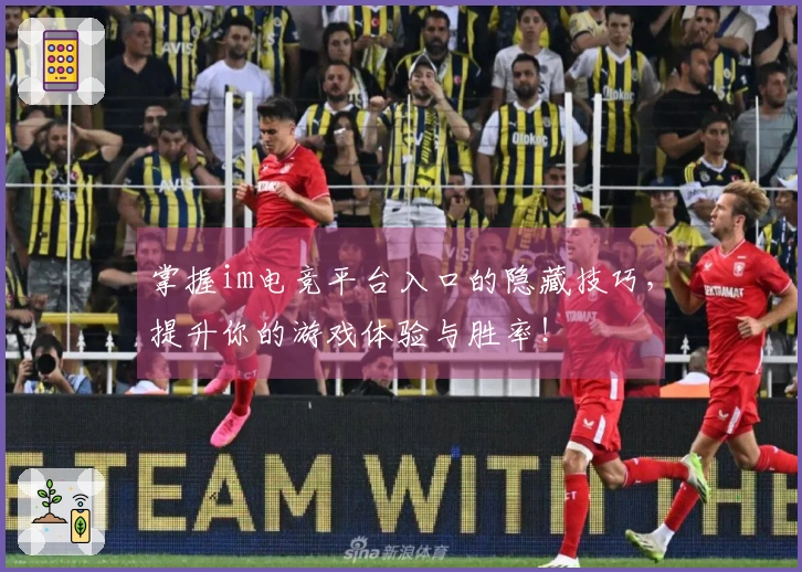 掌握im电竞平台入口的隐藏技巧，提升你的游戏体验与胜率！
