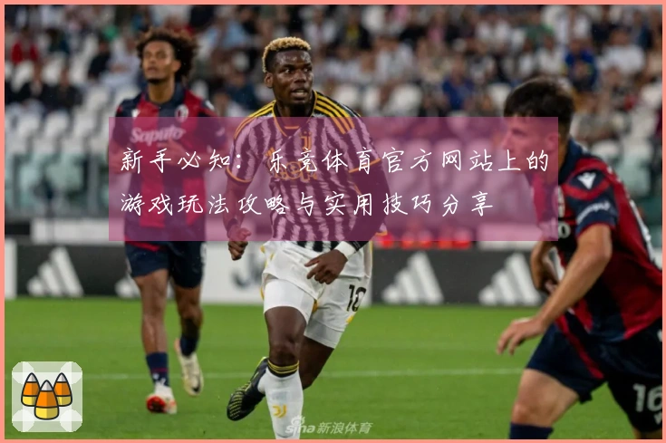 新手必知：乐竞体育官方网站上的游戏玩法攻略与实用技巧分享